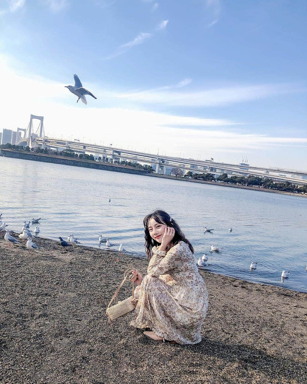 王依君さんのインスタグラム写真 - (王依君Instagram)「🐦给吃的就会过来的海鸥～」3月16日 19時17分 - sandystrawberry_