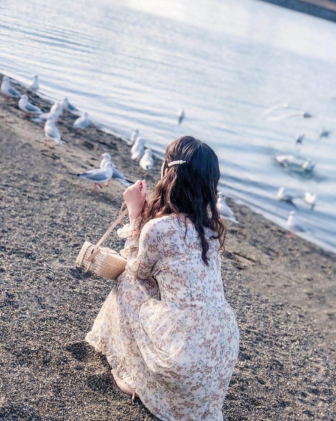 王依君さんのインスタグラム写真 - (王依君Instagram)「🐦给吃的就会过来的海鸥～」3月16日 19時17分 - sandystrawberry_