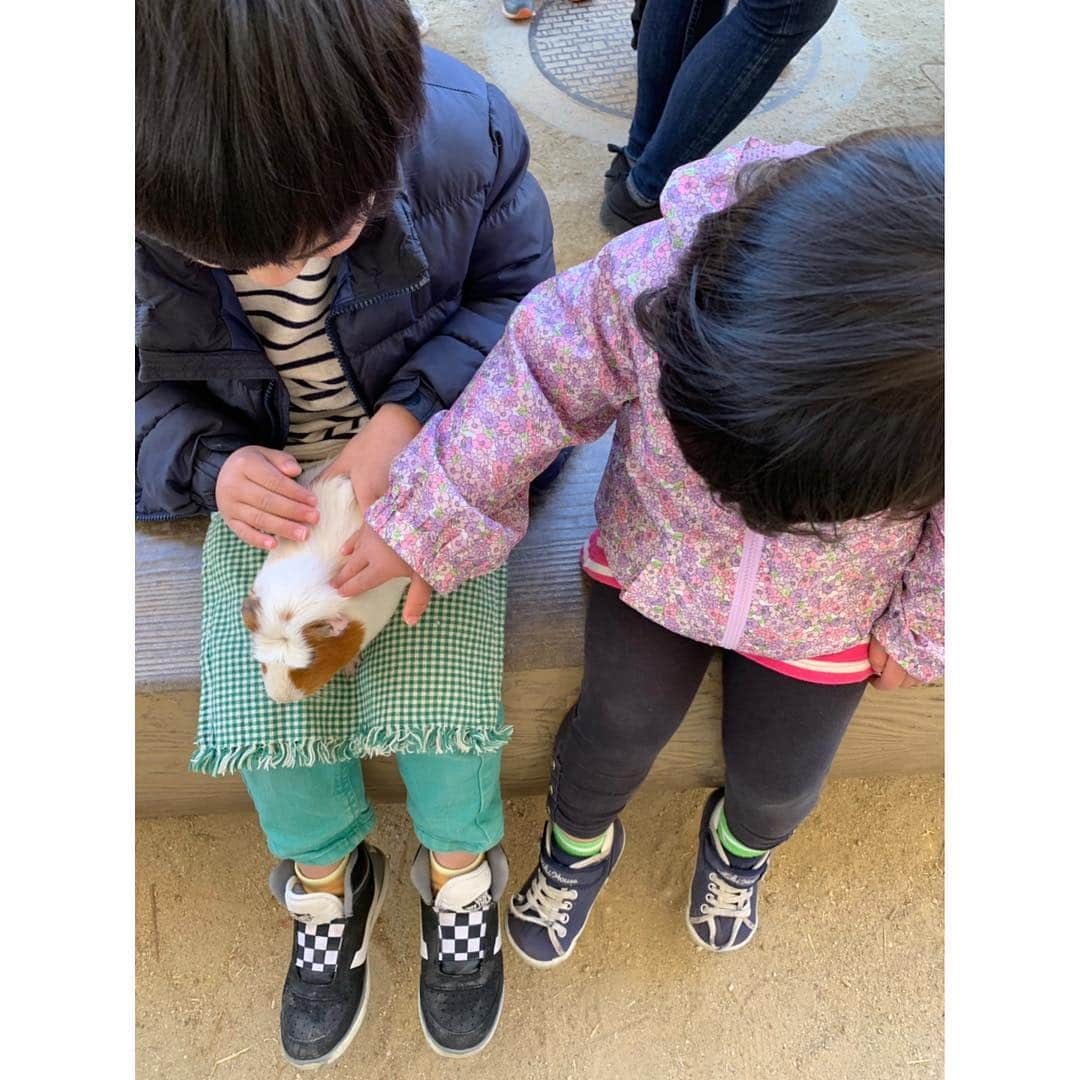 空木マイカさんのインスタグラム写真 - (空木マイカInstagram)「今日から春まつりスタートの東山動物園へ行ってきました！期間中イベント色々あるみたいですよー❤️今日は子どもたち、クイズラリーしてお米もらってました😆きりんの前のミモザもキレイ✨相変わらずシャバーニの周りの人だかりすごかったです😳 ・ いいお天気だったから油断して薄着だったので風が冷たすぎて、室内じっくりと（笑）動物会館とか初めて行きました👏ここで見たアリクイの映像に「見たい！」と気合い入り、また出発🏃結局閉園まで遊び尽くしました❤️」3月16日 19時54分 - maika_utsugi