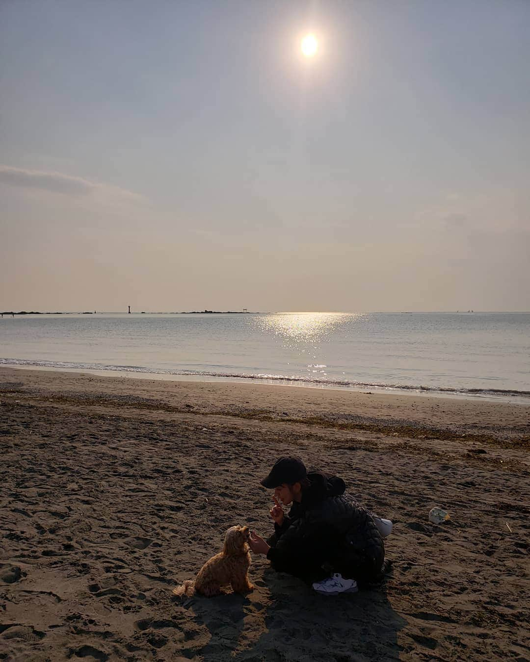 夏菜さんのインスタグラム写真 - (夏菜Instagram)「🏖️🐶。。」3月16日 20時12分 - natsuna_official