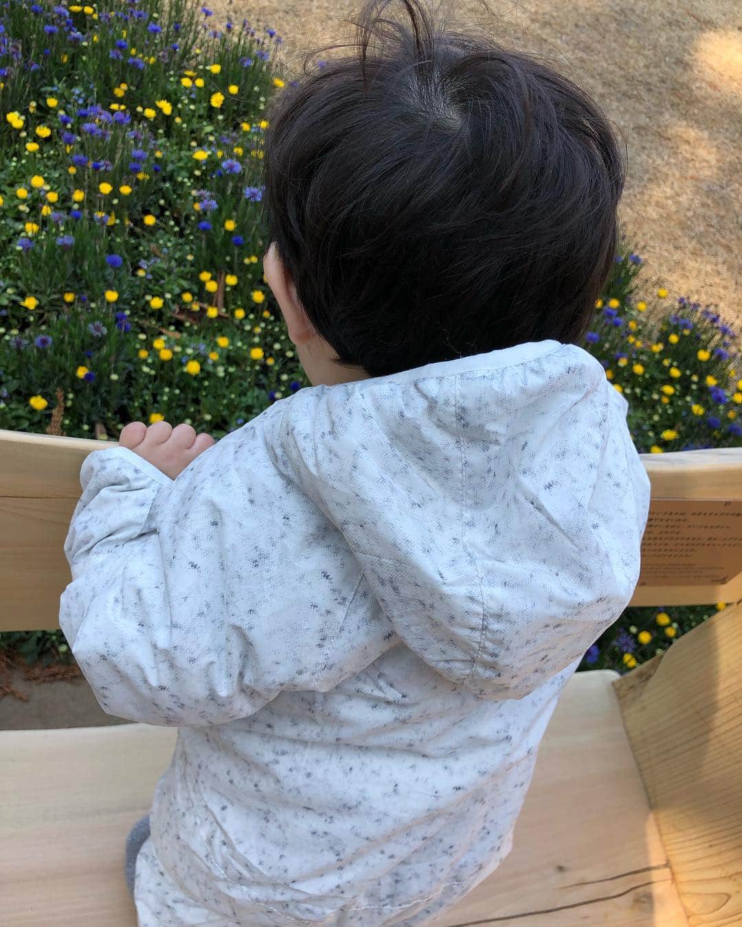 森麻季さんのインスタグラム写真 - (森麻季Instagram)「🌳 今日オープンした ムーミンバレーパークに行ってきました  自然いっぱいでムーミンの世界観を感じられます  息子の成長具合に応じて遊び方が変わると思うのでまた行きたい #ちなみに #息子今日のところはお花に一番興味を示す #ははは  #ムーミンバレーパーク  #ウェークアップぷらすで今朝中継していました #中継10分前にたまたま通りかかり #馴染みのスタッフのお顔にテンションあがる #ウェークアップぷらす  #いい番組です  #卒業して1年 #moominvalleypark  #森麻季#男の子ママ #生後10カ月 #育児 #子連れお出かけ #赤ちゃんのいる生活」3月16日 20時25分 - maki.mori_m