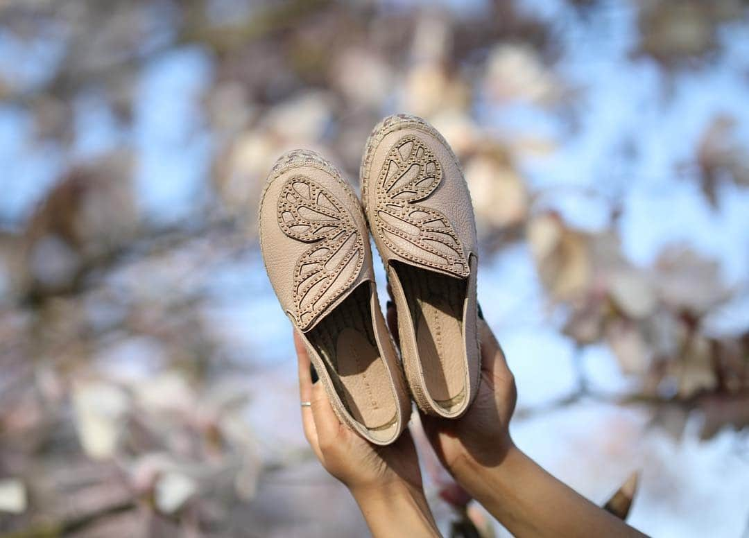 SOPHIA WEBSTERさんのインスタグラム写真 - (SOPHIA WEBSTERInstagram)「She’s new and she’s cute! Step into spring in our ‘Bibi Butterfly Espadrille’ 🦋 Swipe to see all colourways! #SophiaWebster」3月16日 20時34分 - sophiawebster