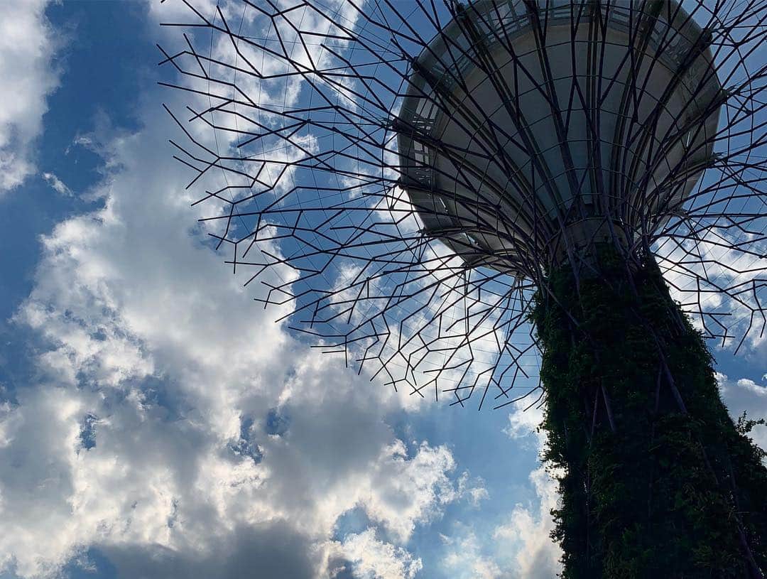 カン・ギュンソンさんのインスタグラム写真 - (カン・ギュンソンInstagram)「얘들아~ 잘 있지? ⠀⠀⠀ #singapore #gardenbythebay」3月16日 20時41分 - noel_kyunsung