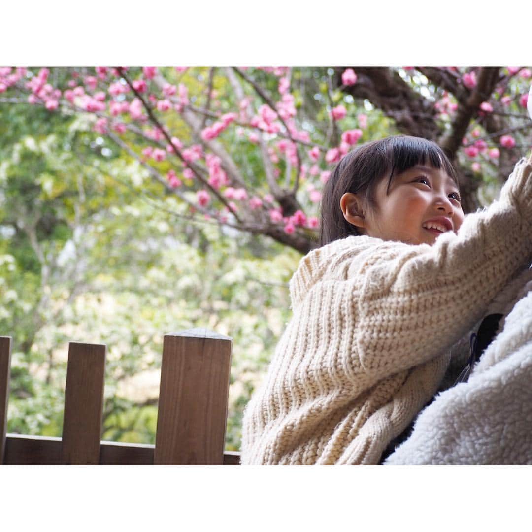 Kyooonさんのインスタグラム写真 - (KyooonInstagram)「まだまだ寒いけど﻿ 少しずつ春の訪れが🌸﻿ ﻿ ﻿ 👨に抱っこしてもらって撮ったけど﻿ なんかカップル感♡﻿ 仲良しだなぁ☺️﻿ #4歳#4歳10ヶ月﻿#olympus#olympusomdem10markiii #omdem10markiii#ママリ」3月16日 21時02分 - fancykyon