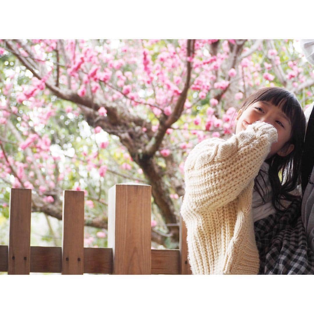 Kyooonさんのインスタグラム写真 - (KyooonInstagram)「まだまだ寒いけど﻿ 少しずつ春の訪れが🌸﻿ ﻿ ﻿ 👨に抱っこしてもらって撮ったけど﻿ なんかカップル感♡﻿ 仲良しだなぁ☺️﻿ #4歳#4歳10ヶ月﻿#olympus#olympusomdem10markiii #omdem10markiii#ママリ」3月16日 21時02分 - fancykyon