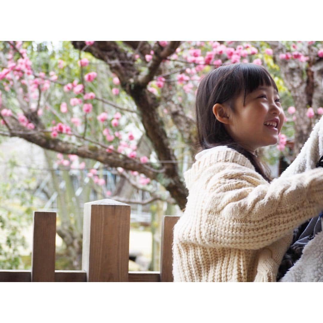 Kyooonさんのインスタグラム写真 - (KyooonInstagram)「まだまだ寒いけど﻿ 少しずつ春の訪れが🌸﻿ ﻿ ﻿ 👨に抱っこしてもらって撮ったけど﻿ なんかカップル感♡﻿ 仲良しだなぁ☺️﻿ #4歳#4歳10ヶ月﻿#olympus#olympusomdem10markiii #omdem10markiii#ママリ」3月16日 21時02分 - fancykyon