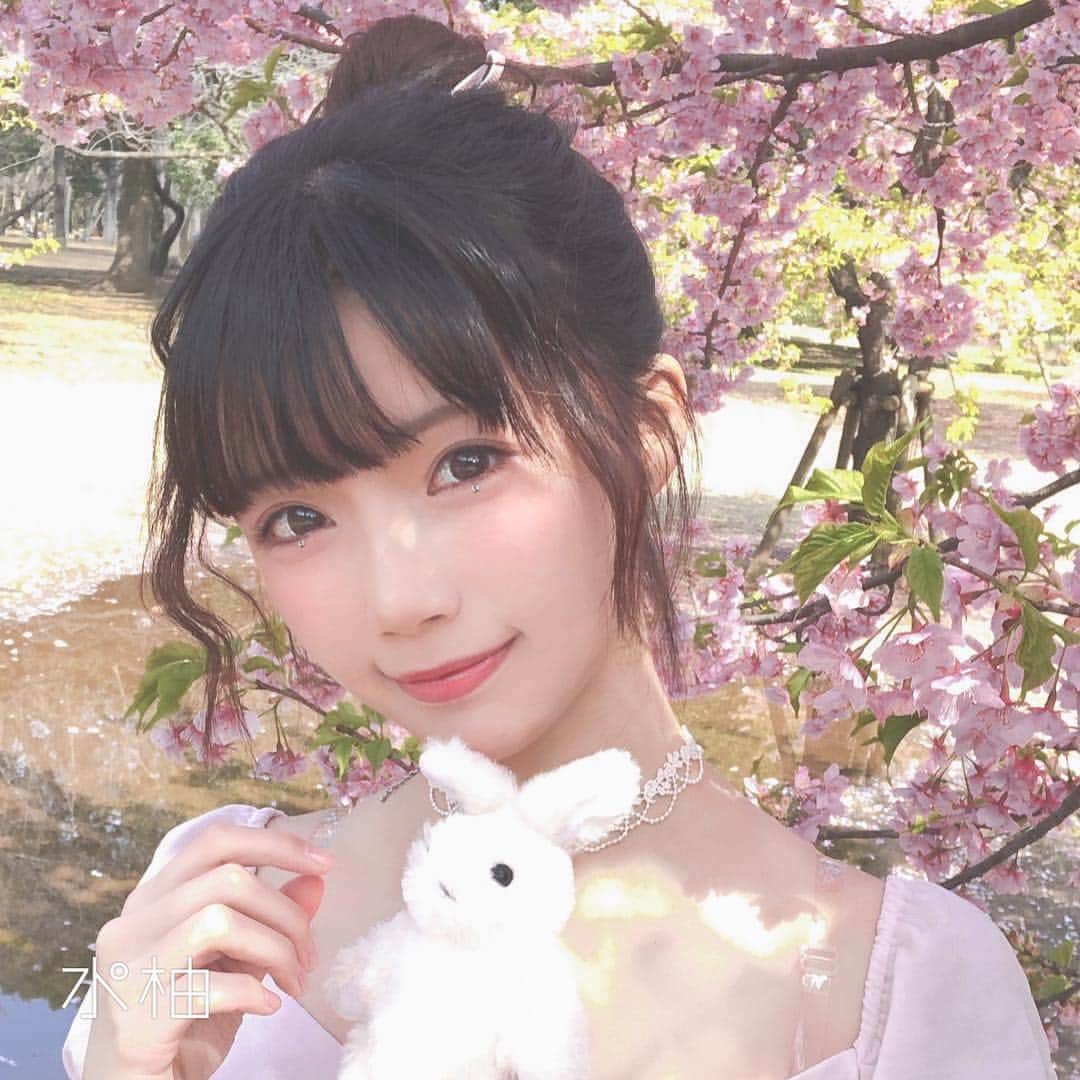 茶叶小果さんのインスタグラム写真 - (茶叶小果Instagram)「#桜 🌸 #水柚相机」3月16日 21時07分 - chayexiaoguo