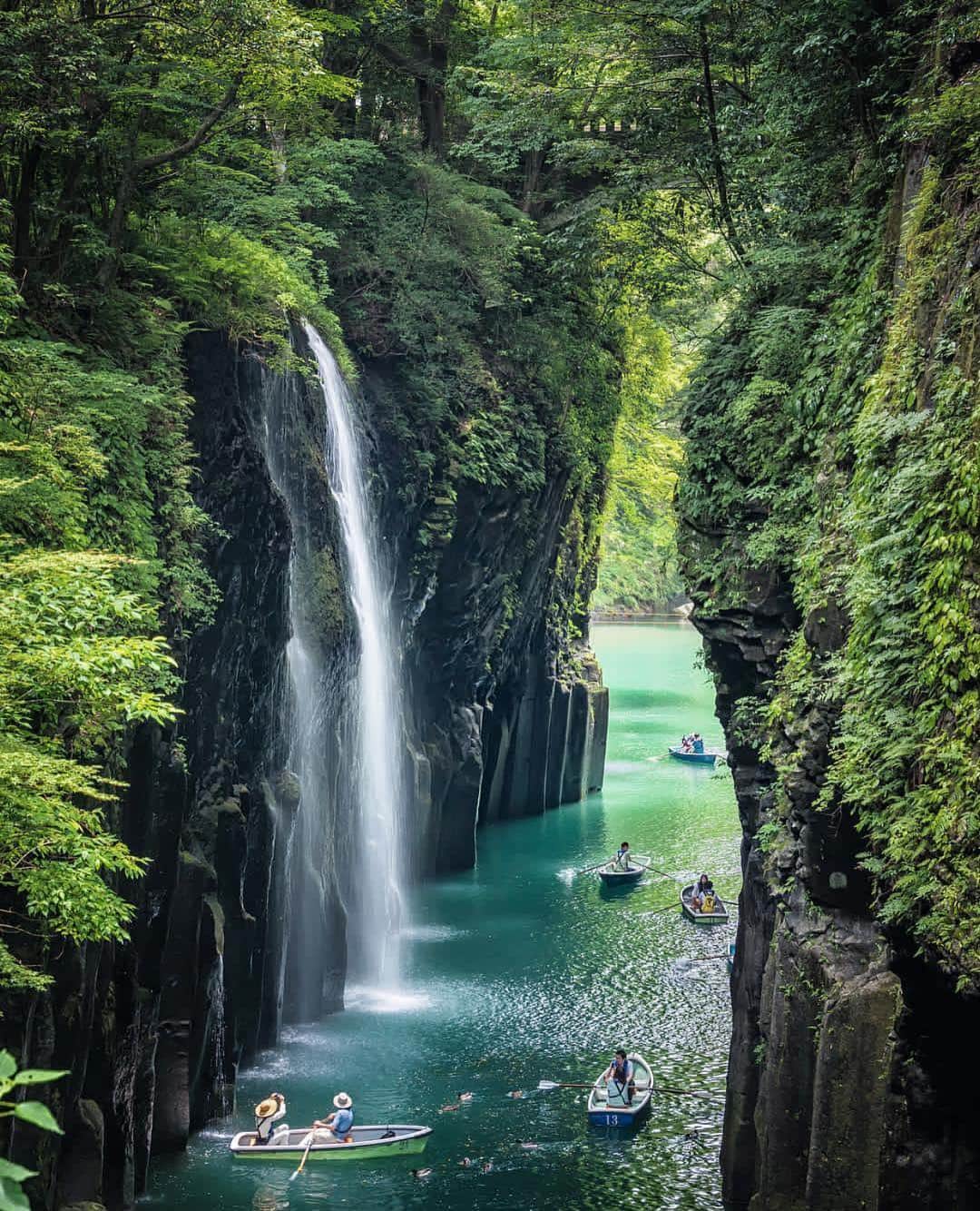 Wonderful Placesさんのインスタグラム写真 - (Wonderful PlacesInstagram)「Miyazaki - Japan ✨💚💚💚✨ . Picture by ✨✨@hrk1108✨✨ #wonderful_places for a feature 💚」3月16日 21時24分 - wonderful_places