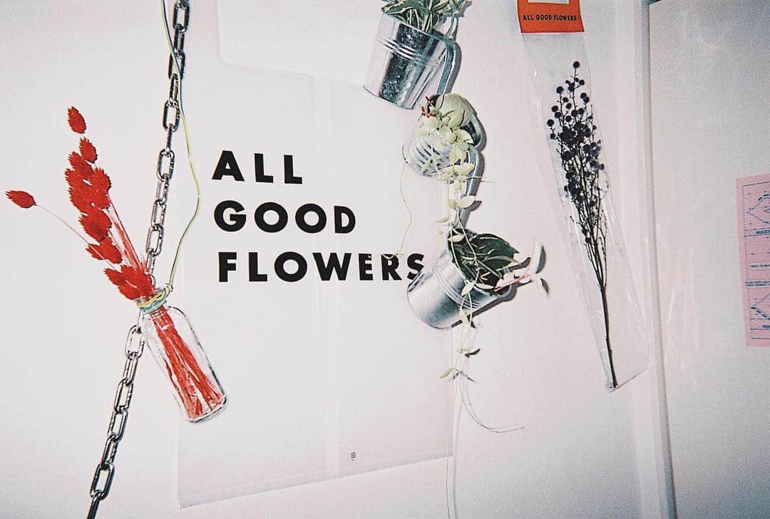 のインスタグラム：「人生ALL GOOD. 気づいたんですが僕、年をとったら絶対に盆栽やると思います。いい盆栽教えてください。草 . #0316」