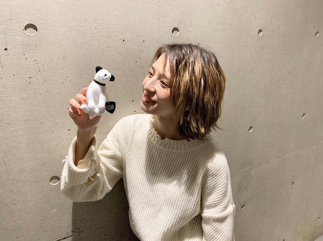 HARUNAさんのインスタグラム写真 - (HARUNAInstagram)「今日は今年初ライブでした🐶  #ビクターロック祭り」3月16日 21時39分 - haru_na810