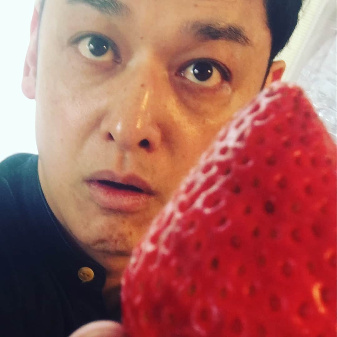 宮田麺児さんのインスタグラム写真 - (宮田麺児Instagram)「この世に こんな美味いいちごあったんや。  #いちご#苺#安芸こまち#水素水#でかい#甘い」3月16日 21時58分 - miyatamenji