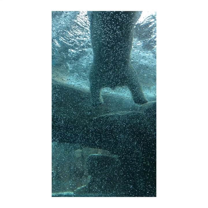 實石あづさのグルメインスタ