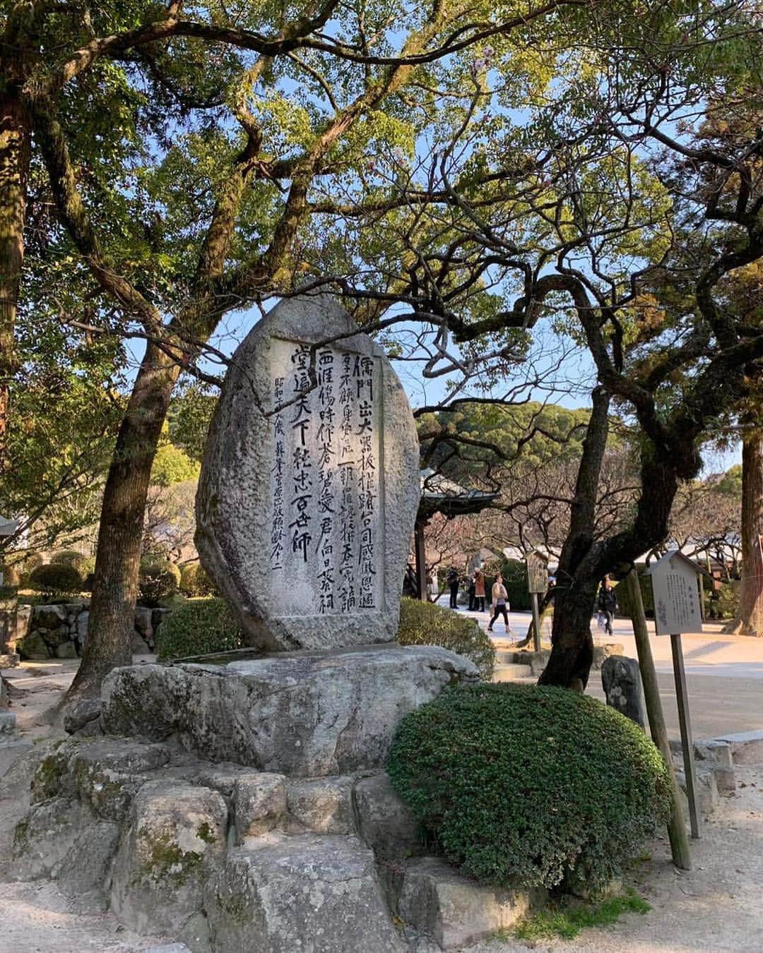 アンナ・ヤノフスカヤさんのインスタグラム写真 - (アンナ・ヤノフスカヤInstagram)「⛩🎋🏯 #japan #🇯🇵」3月16日 23時10分 - annayanovskay