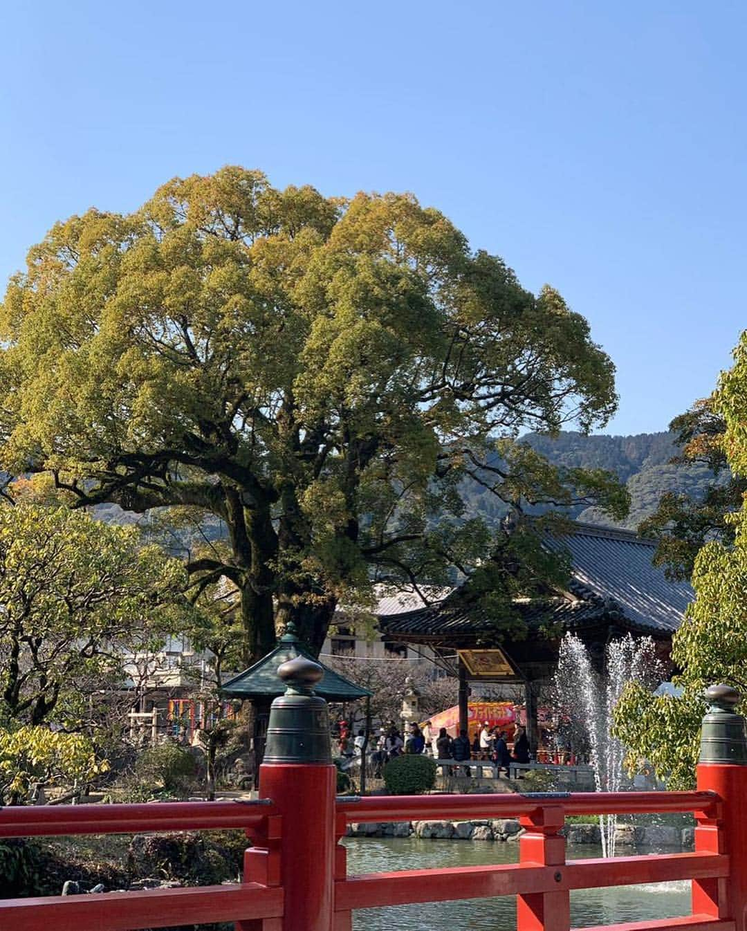 アンナ・ヤノフスカヤさんのインスタグラム写真 - (アンナ・ヤノフスカヤInstagram)「⛩🎋🏯 #japan #🇯🇵」3月16日 23時10分 - annayanovskay