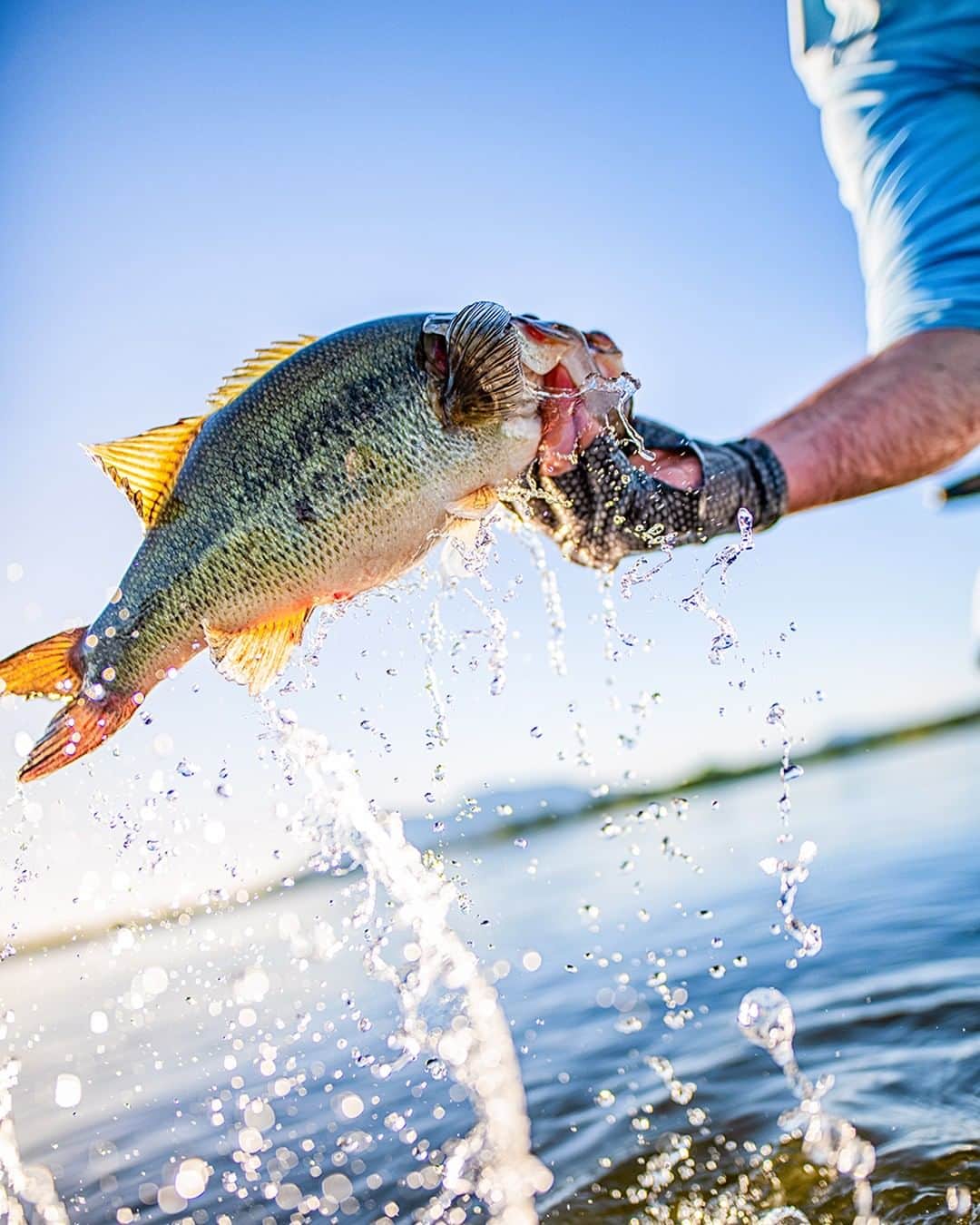 Costa Sunglassesさんのインスタグラム写真 - (Costa SunglassesInstagram)「Who has what it takes to be #bassmaster?  Tune in to the @costabassfishing Instagram story today and tomorrow for live updates from the #2019bassmasterclassic as our pros compete for this year's coveted #bassmaster title.」3月16日 23時30分 - costasunglasses