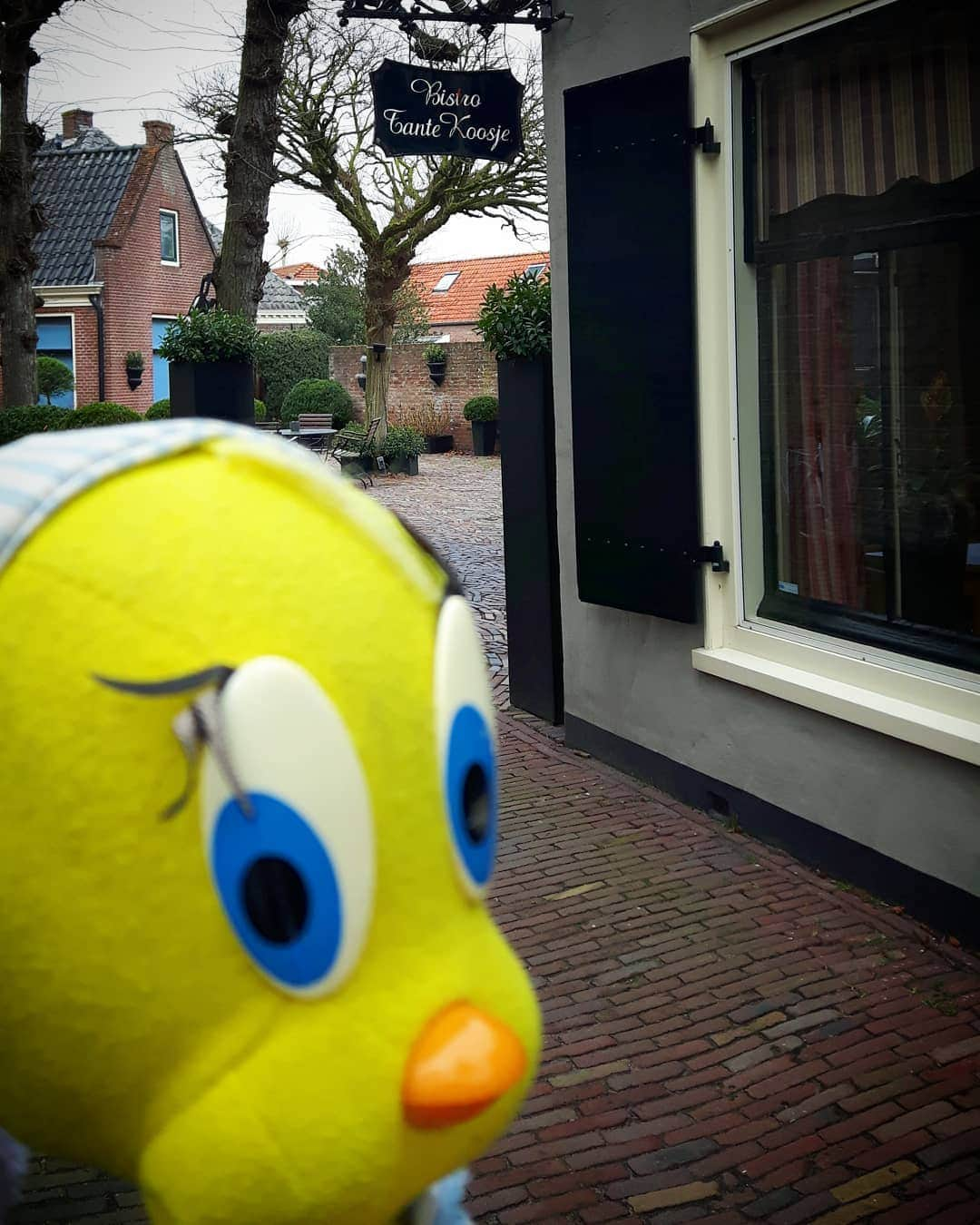 Little Yellow Birdさんのインスタグラム写真 - (Little Yellow BirdInstagram)「One of the most beautiful - and tasty!! - spots of Loenen! #littleyellowbird #tweety #tweetykweelapis #adventures #yellow #bird #weekend #saturday #walking #loenenaandevecht #restaurant #tantekoosje #michelin #kerkstraat #villagelife #stuffedanimalsofinstagram #plushiesofinstagram」3月16日 23時47分 - tweetykweelapis