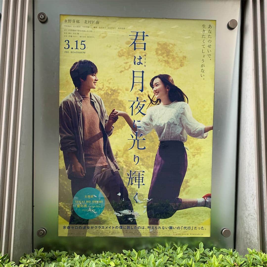 横山みれいさんのインスタグラム写真 - (横山みれいInstagram)「今週土曜日、またしても﻿ 映画→骨格調整→映画﻿ という、最高の週末プランを実行してきました( ^ω^ ) ﻿ ﻿ 「 #キャプテンマーベル 」は期待通り！﻿ 疲れた時や爽快感が欲しい時はマーベル映画！﻿ 毎回伏線回収が病みつき😊 ﻿ ﻿ 「 #君は月夜に光り輝く 」は、予想通りの恋愛映画でした！﻿ こんなこてこての恋愛映画で泣きませんよ。﻿ と、思ってたけど、泣いた（ ; ; ）笑﻿ 「君の名は。」ぶりの恋愛映画でした…﻿ ﻿ #恋愛映画観る頻度めちゃ低い #横山映画備忘録」3月16日 23時50分 - mireichan66