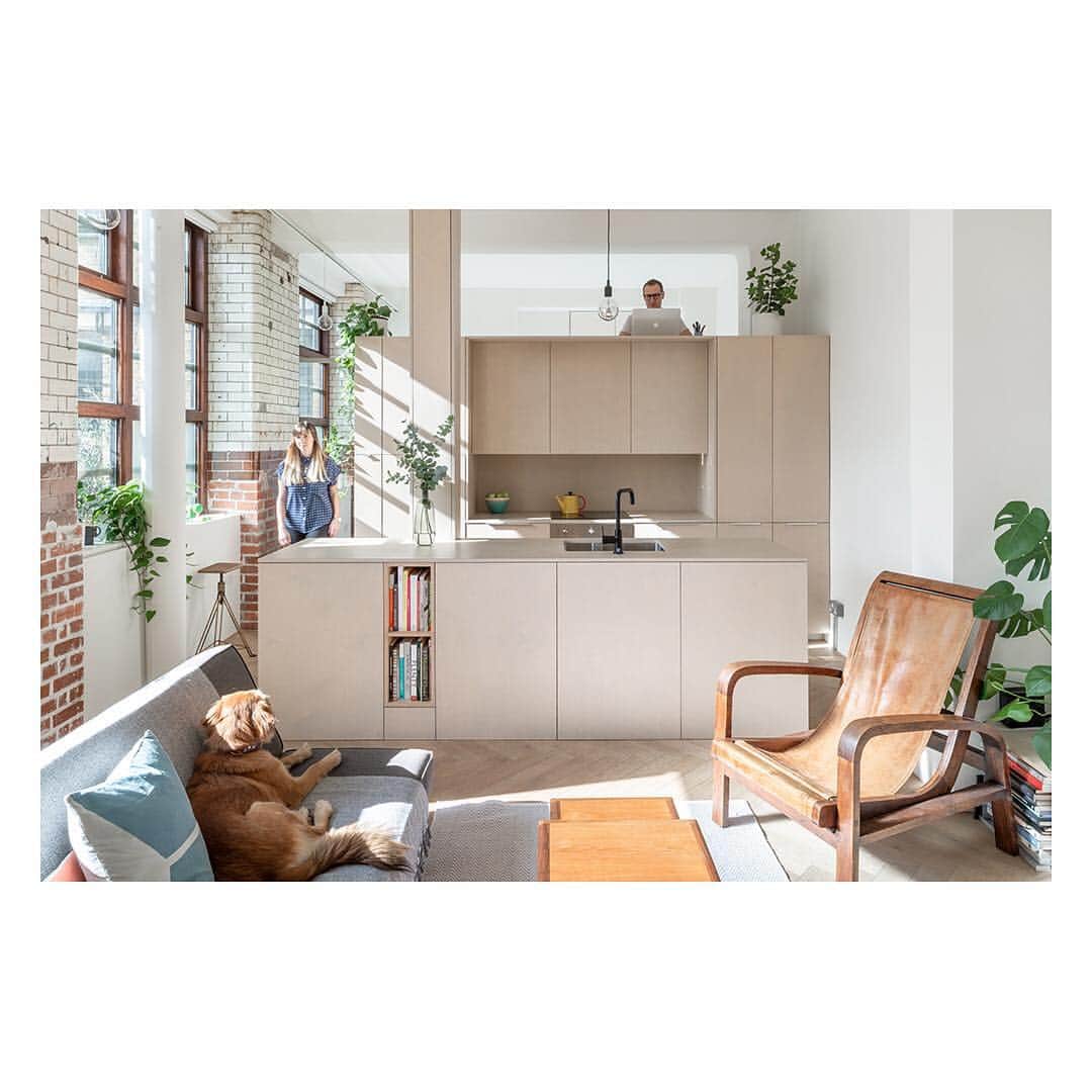 The Modern Houseさんのインスタグラム写真 - (The Modern HouseInstagram)「Open House: we visit Suprblk architects Michael Putman and Sara L'Espérance at their apartment in Bethnal Green. Link in our bio to read the full article.  #architectshouse #factoryliving #bethnalgreen」3月17日 0時13分 - themodernhouse