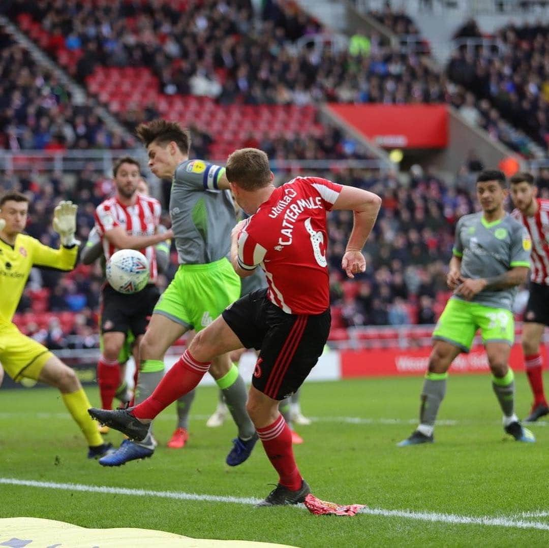 サンダーランドAFCさんのインスタグラム写真 - (サンダーランドAFCInstagram)「C A T T S 😍」3月17日 0時40分 - sunderlandafcofficial