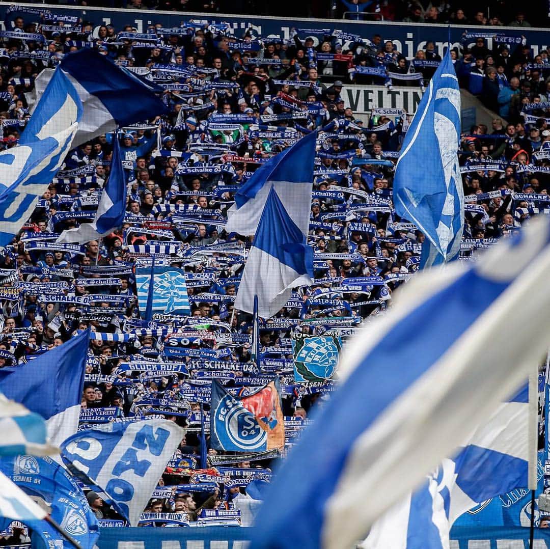 シャルケ04さんのインスタグラム写真 - (シャルケ04Instagram)「🔵⚪️🔵⚪️🔵⚪️🔵⚪️ . . #S04 #Schalke #Knappen #Schalke #Fans #Support @veltins_arena #🔵⚪️ #Futbol #Football #Soccer」3月17日 0時55分 - s04