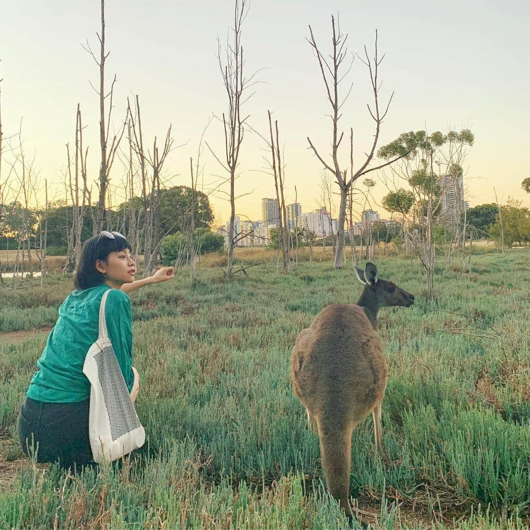 る鹿さんのインスタグラム写真 - (る鹿Instagram)「❤️ Natural & Love 🌍」3月17日 0時56分 - luluxinggg