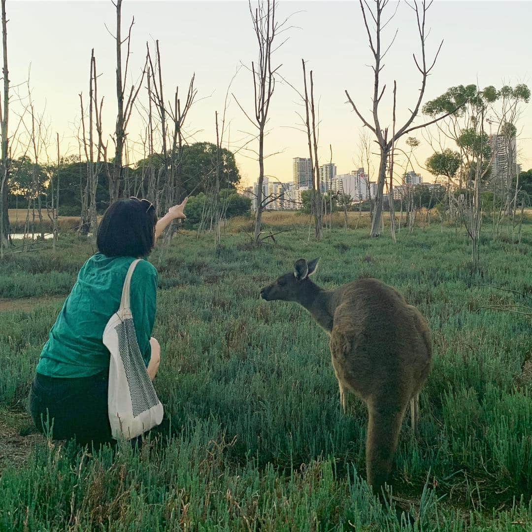 る鹿さんのインスタグラム写真 - (る鹿Instagram)「❤️ Natural & Love 🌍」3月17日 0時56分 - luluxinggg