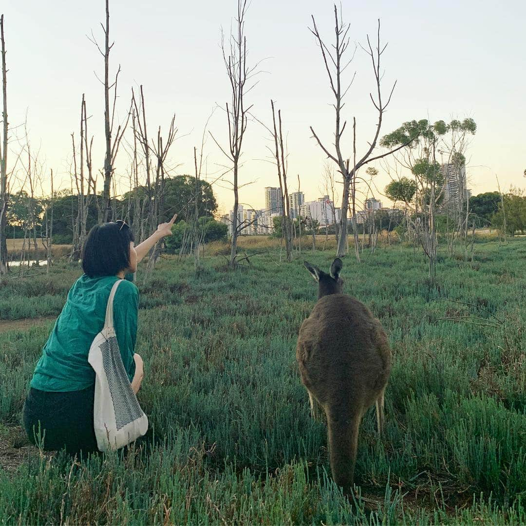 る鹿さんのインスタグラム写真 - (る鹿Instagram)「❤️ Natural & Love 🌍」3月17日 0時56分 - luluxinggg