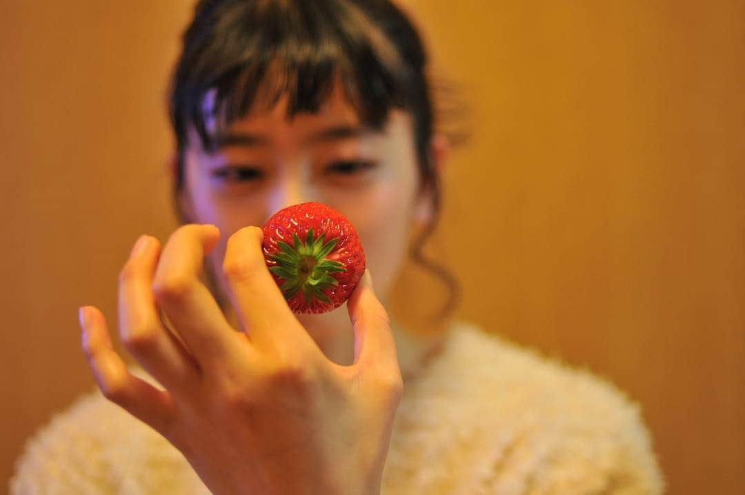 坂井仁香さんのインスタグラム写真 - (坂井仁香Instagram)「いちご🍓狩りいきたい」3月17日 11時06分 - hitoka_sakai_official