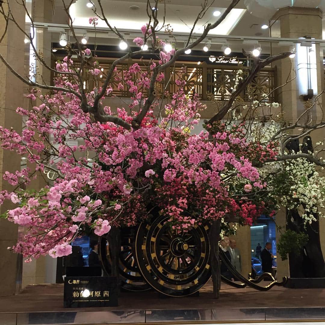 大手小町さんのインスタグラム写真 - (大手小町Instagram)「日本橋で美しき花ぐるまを見ました。草月流お家元、勅使河原茜さんの作品です。正面だけでなく後ろからも、雅な春を演出していました！圧巻です。 #otekomachi #草月流  #日本橋」3月17日 11時37分 - otekomachi