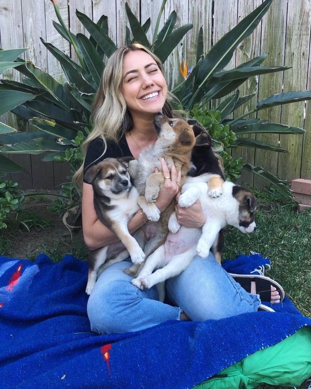 Camden Scottのインスタグラム：「Had the greatest morning hanging with these four angels! All are ready to be adopted and taken into loving homes! Contact @istandwithmypack if you’re ready to adopt!」