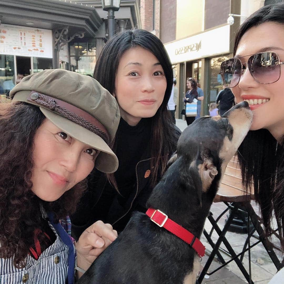 仲宗根梨乃さんのインスタグラム写真 - (仲宗根梨乃Instagram)「Happy weekends Everyone💕 Dogs, Friends, my broken computer is fixed 💻, Jeniko @jenny_kita got chocolate cake at home. Life is good」3月17日 12時03分 - rinokinawa