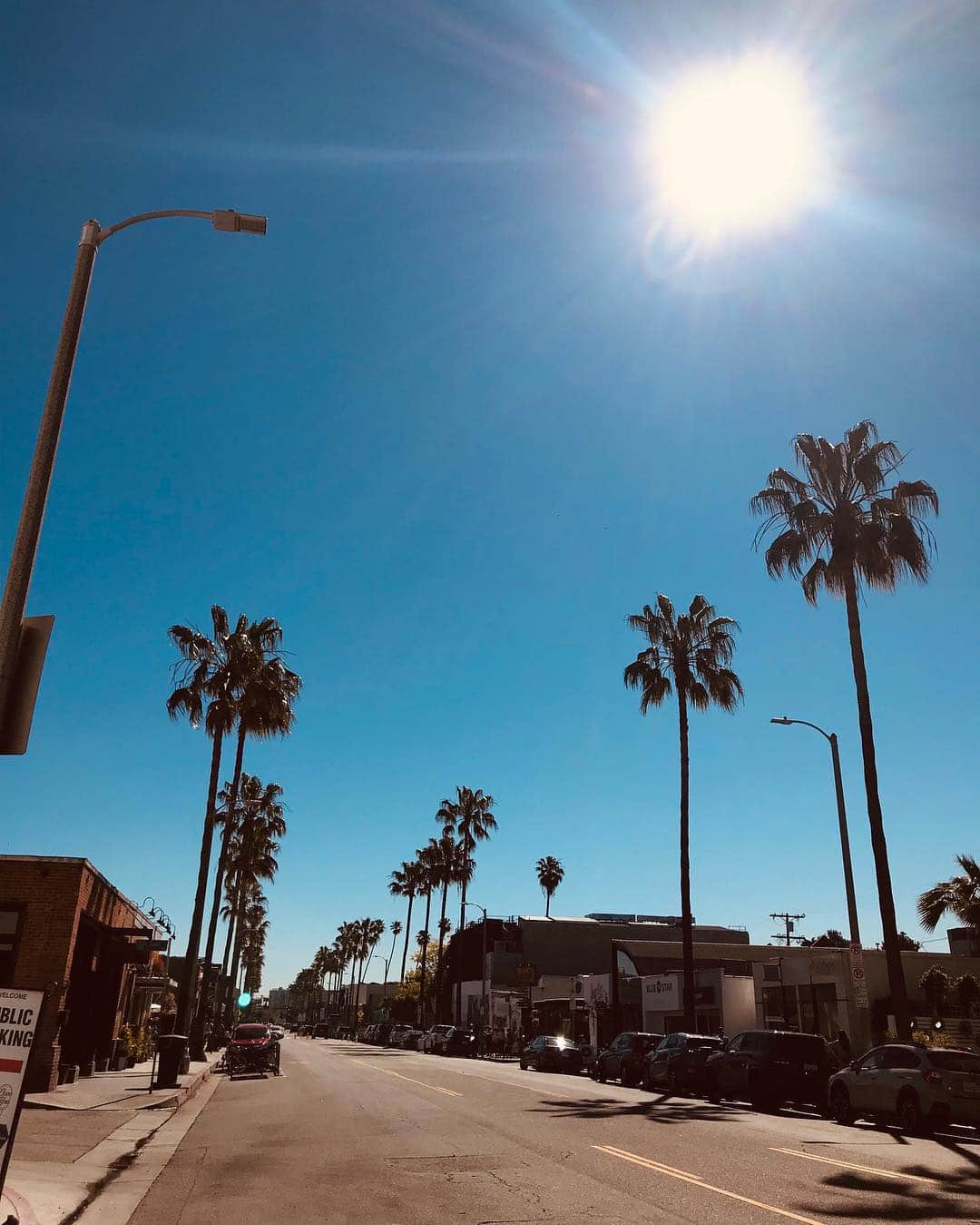 のインスタグラム：「✴︎ ✴︎ 今日は焦げそうな強い陽射しです〜🍳🌞🌴🕶🤟🏽 ・ Report by  BLUER STAFF 🛴✨ #bluer #teambluer #bluerco  #カリフォルニア #surf #旅 #サンタモニカ #outdoor #旅好きな人と繋がりたい #海好きな人と繋がりたい #サーフィン #海 #ライフスタイル #サーフィン #sup #ライフセービング #ビーチ #スノーボード #スケートボード #surf #sunset #instagood #イマソラ #sparkjoy」