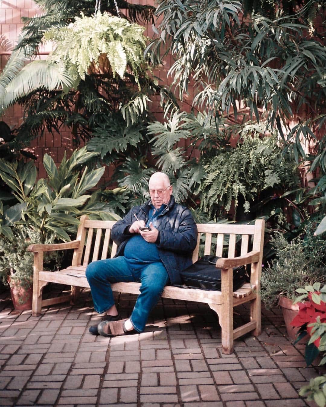 Robert Bingamanのインスタグラム：「My sense of plants is that they’re all looking at one another, speechless—like wtf—and have been for about 200,000 years.」