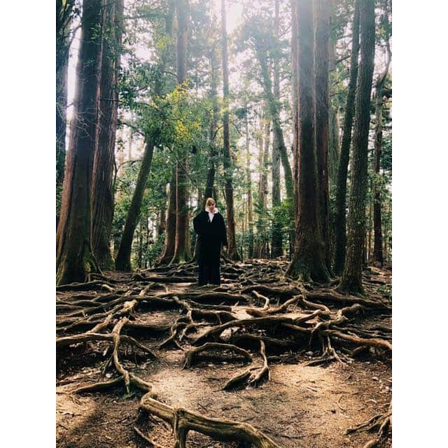 IVANさんのインスタグラム写真 - (IVANInstagram)「* 🛤🙏🏻👺🐲⛩✨✨🌳🌳 the power,energy,and beauty.. 最強パワースポット 行けた事に感謝✨ * #kyoto#temple#japan#energy#power#nature #京都 #最強パワースポット #鞍馬寺 #鞍馬山 #貴船神社 #貴船そば #すんごい場所なの調べてみてね♡ #本日ほんわか筋肉痛 #明日はすんごい筋肉痛」3月17日 8時50分 - fresanaca