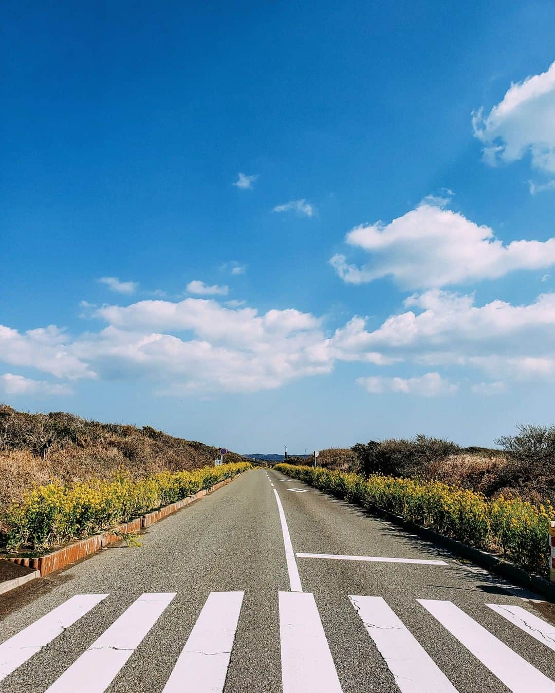 Galaxy Mobile Japanさんのインスタグラム写真 - (Galaxy Mobile JapanInstagram)「「絶好のドライブ日和だ」 📸#GalaxyNote9 #Noteのある生活 #withgalaxy Photo by @t.1972 ・ ・ ・ #千葉 #房総半島 #南房総 #房総フラワーライン #青空 #雲 #chiba #bluesky #cloud #Galaxyカメラ部」3月17日 9時00分 - samsungjpn