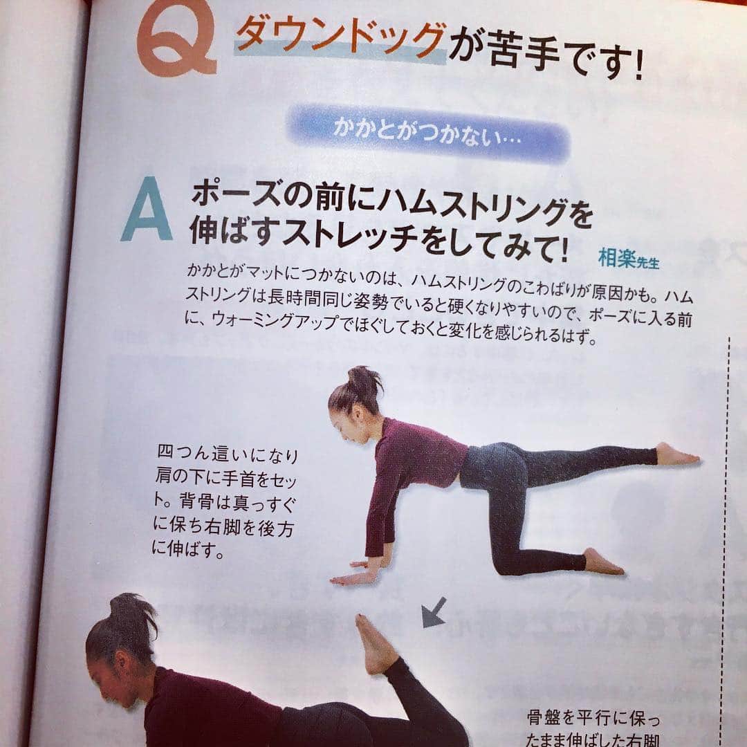 ヨガジャーナル日本版さんのインスタグラム写真 - (ヨガジャーナル日本版Instagram)「最新号をテキストに少人数レッスン ×  TSUTAYA Conditioning、 4回目は相楽のりこ先生。 3月24日(日)13〜14時30分 「体が硬くてポーズがつらい」「下半身がぐらつく」という人は、相楽先生オリジナルのストレッチ要素を取り入れたsagara yogaを試してみませんか？下半身の大きな筋肉をゆるめてから行うことで、ポーズの質がアップするのを実感できます。  参加費はヨガジャーナル最新号が付いて3240円。編集部からのお土産も！ yoga@saita.net まで、 お名前、ヨガ歴、連絡先をメールでお送りください。 @yogajournalonline  @tsutayaconditioning  @sagaranoriko  @today_sagarayoga_studio  #ヨガインストラクター #tsutaya #少人数レッスン #yoga #yogapose #下半身 #ストレッチ  #ヨガ練習 #呼吸 #ゆるめる」3月17日 9時05分 - yogajournal_japan