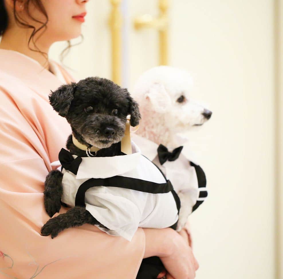 アーカンジェル迎賓館 宇都宮のグルメインスタ