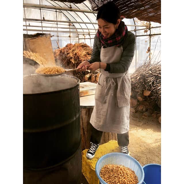 加藤紀子のインスタグラム：「五年目となる山形でのお味噌作り 来年分の仕込み完了👍 麹ほぐして「すんがらがして（すくい上げてという意味の置賜弁）機械に入れたり空気抜いたり。 美味しく育ってくださいねーとお塩で重石して蓋を閉じたら、 去年仕込んだお味噌をピックアップ。  自家製味噌と畑の野菜、 どんなお味噌汁作ろうかなぁ🤔🥰 #山形での味噌作り #なごみ庵 #畑の野菜 #カトノリ農園  #山形つや姫観光大使 #すんがらがしてって言われて戸惑った」