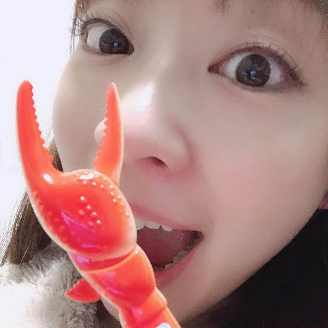 福田麻衣さんのインスタグラム写真 - (福田麻衣Instagram)「#カニ #蟹 #食べたい」3月17日 19時59分 - mai2my2