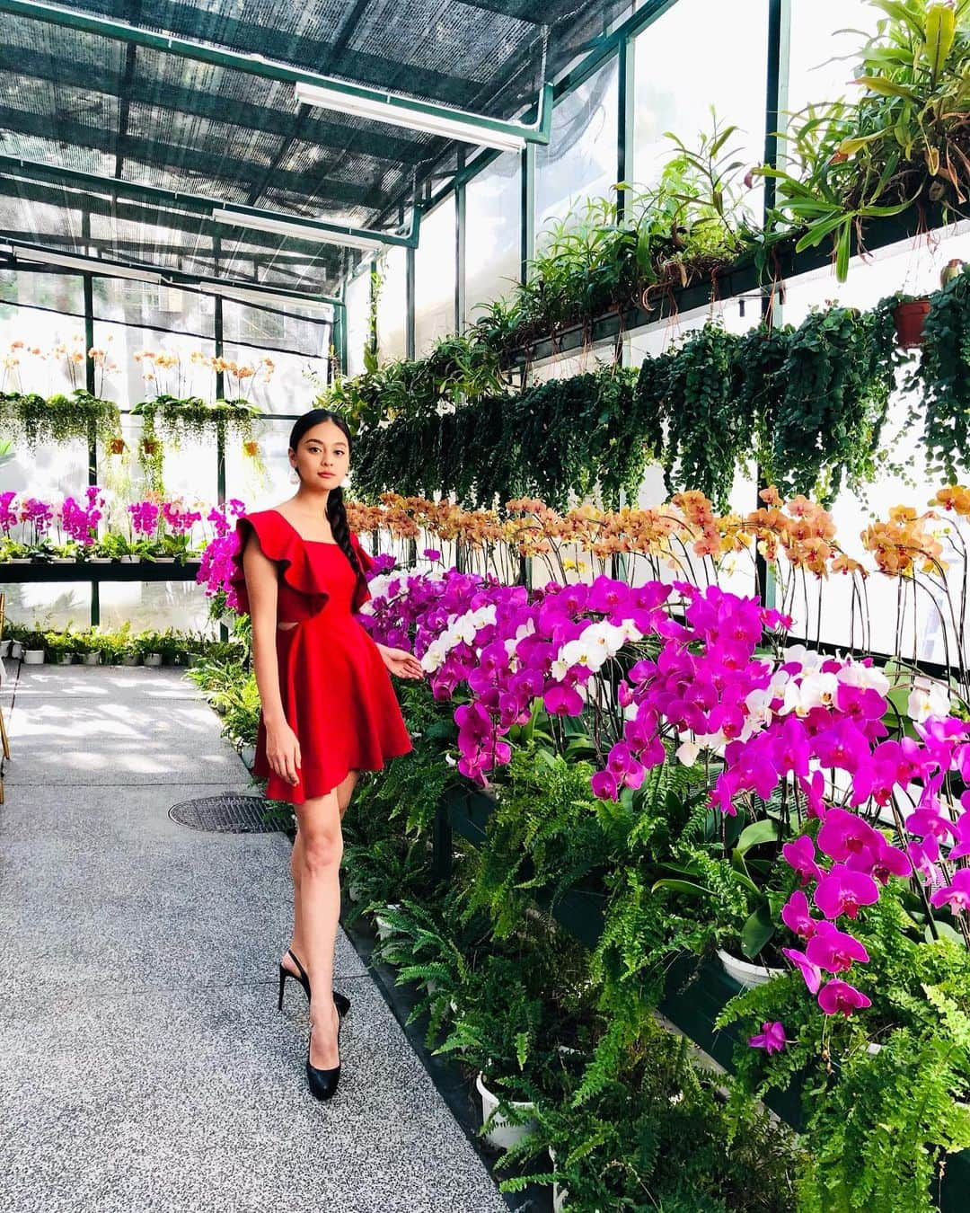 遊海 Yuumiさんのインスタグラム写真 - (遊海 YuumiInstagram)「Orchid observatory at @themajestichotelkl ❤️❤️❤️so colourful.  #マレーシア #orchidobservatory #majestichotel #majestichotelkualalumpur #malaysia #malaysiatrulyasia #tourismmalaysia #yuumitravel @tourismmalaysiasentral」3月17日 20時02分 - yuumi_kato