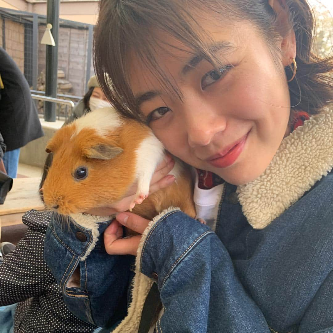 Asano Minamiさんのインスタグラム写真 - (Asano MinamiInstagram)「どうぶつに癒された週末🐹モルモットちゃん🐹」3月17日 20時05分 - minami_asano