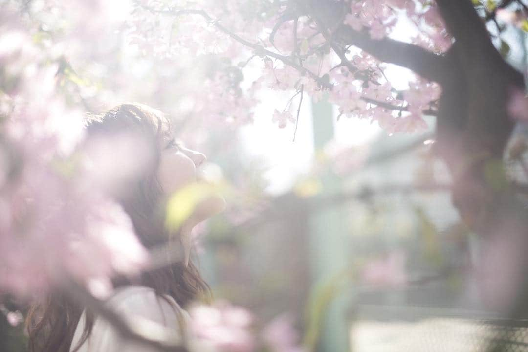 笠原美香さんのインスタグラム写真 - (笠原美香Instagram)「🌸 春はすぐそこまできてる . #桜 #春 #sakura #cherryblossom」3月17日 20時21分 - mika.k419