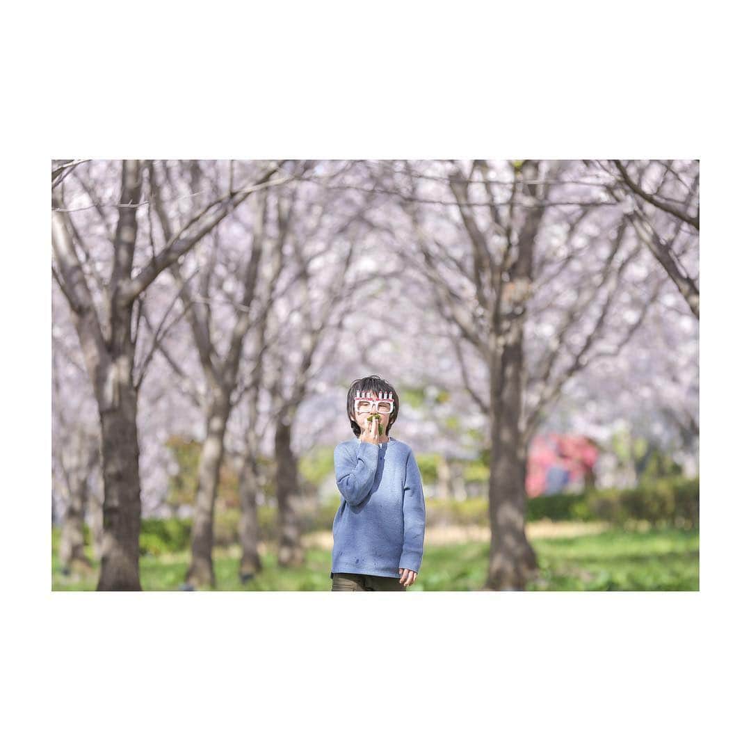 midicaphotoのインスタグラム