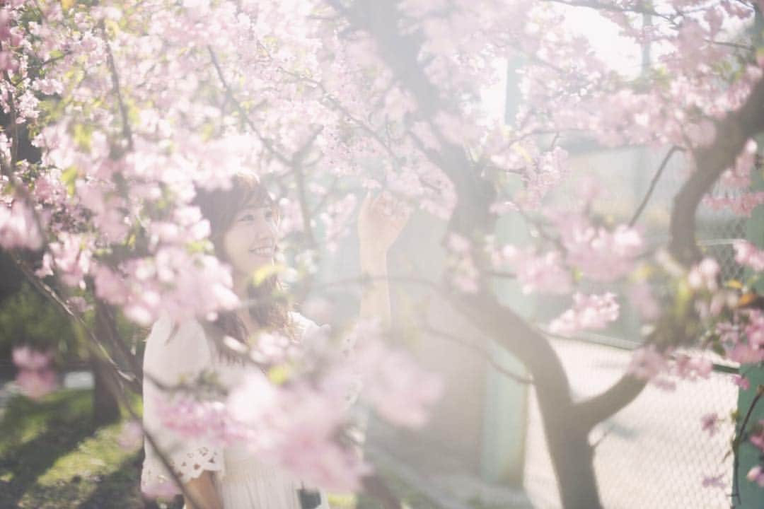 笠原美香さんのインスタグラム写真 - (笠原美香Instagram)「🌸 . #桜 #春 #sakura #photo #ポートレート #portraitphotography #写真好きな人と繋がりたい #ファインダー越しの私の世界 #写真撮ってる人と繋がりたい」3月17日 20時29分 - mika.k419