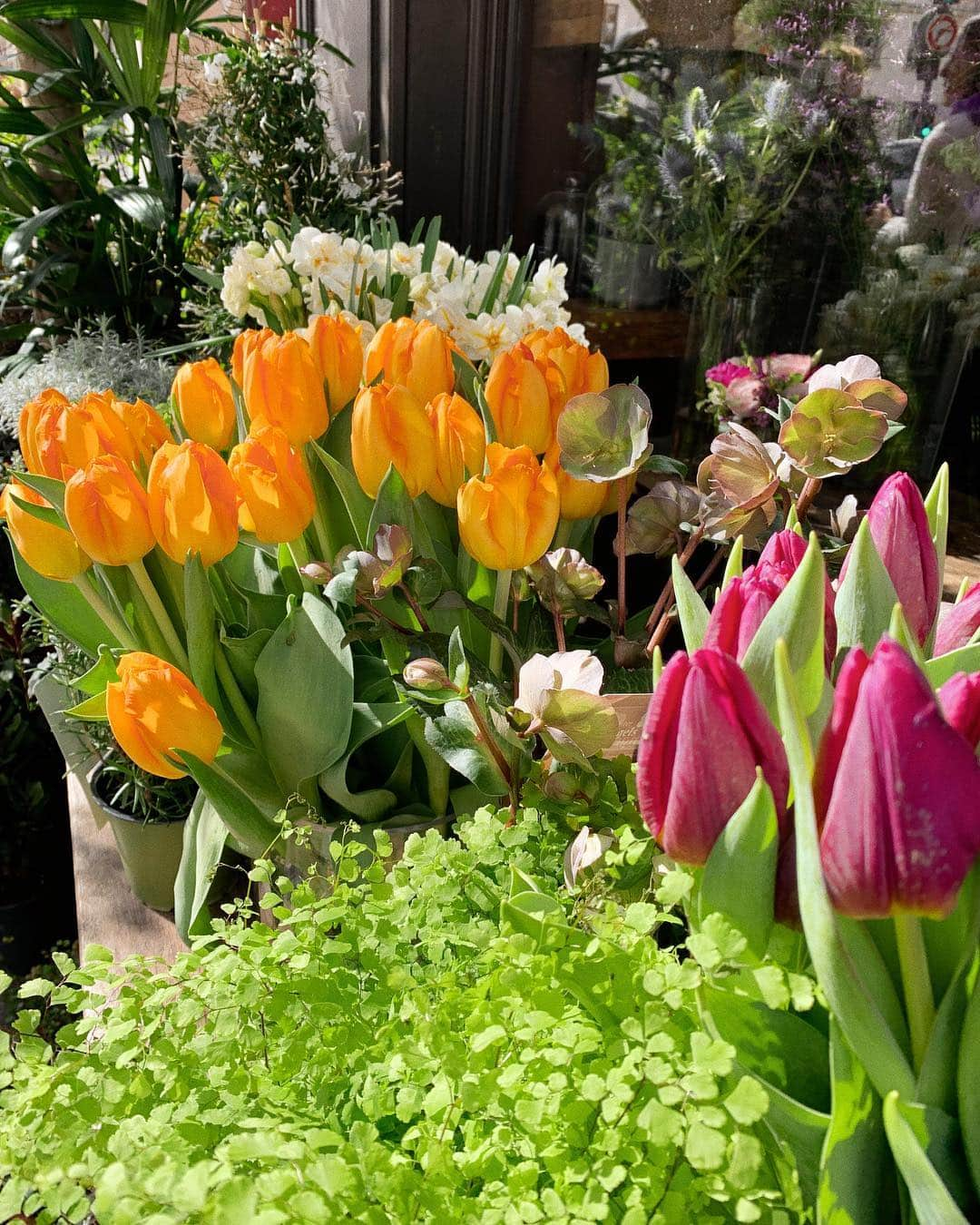 KEISUKE SYODAさんのインスタグラム写真 - (KEISUKE SYODAInstagram)「Fleur en pleine floraison 💐 #Paris」3月17日 20時30分 - keisukesyoda