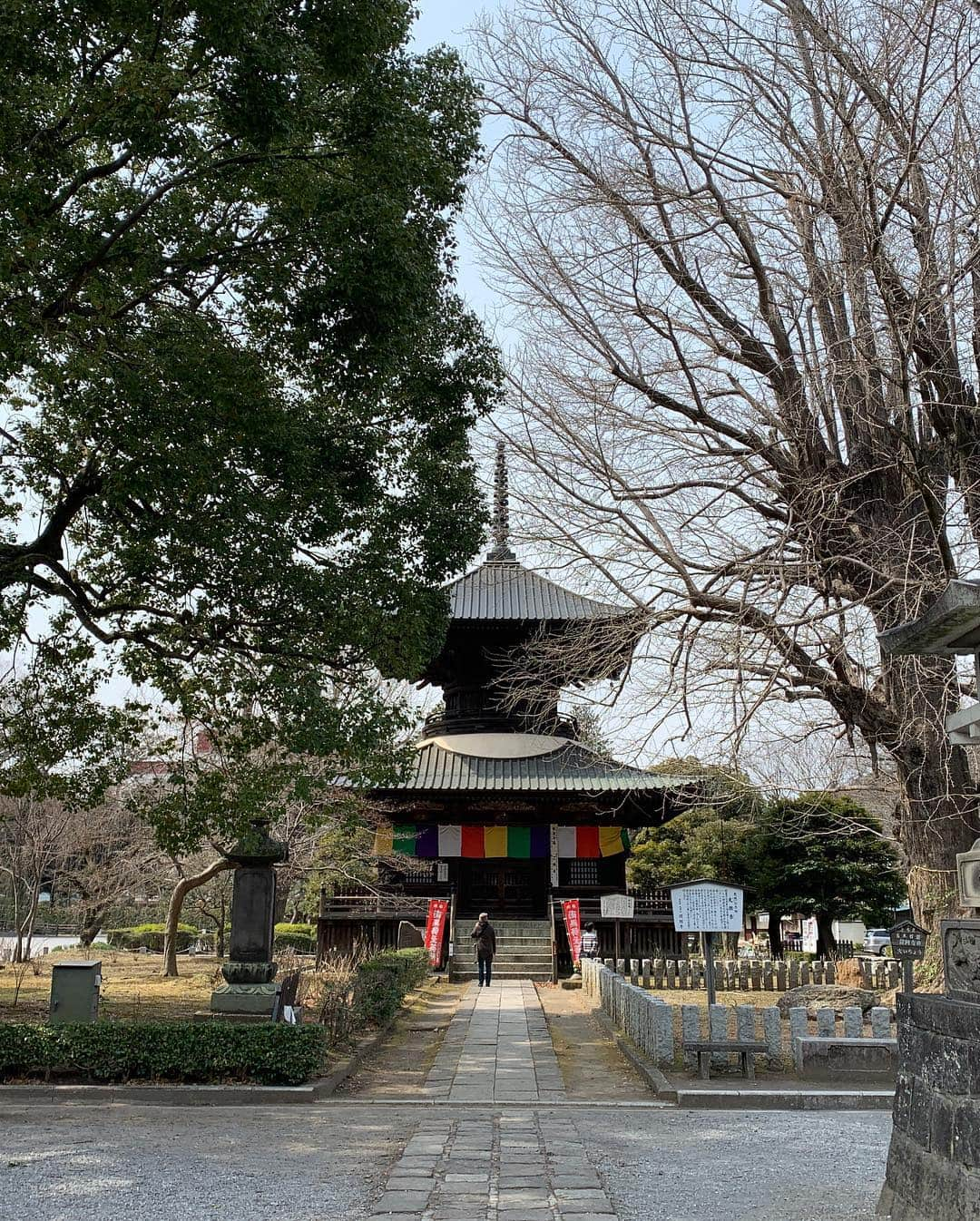 三木道三さんのインスタグラム写真 - (三木道三Instagram)「足利氏の氏寺、ばんな寺﻿ 立派やったな〜〜﻿ ﻿ 俺の好きなディオのセリフでこういうのがある。﻿ ﻿ 「すぐれた画家や彫刻家は自分の『魂』を目に見える形にできるという所だな」﻿ 「まるで時空を越えた『スタンド』だ…」﻿ 「そう思わないか？特にモナリザとミロのビーナスは…」﻿ ﻿ この寺は足利尊氏や大工や仏師達の魂の結晶…﻿ ﻿ そう思わないか？ふふふふ」3月17日 20時47分 - dozan11