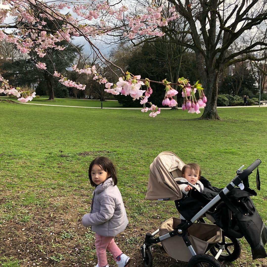 宇佐美蘭さんのインスタグラム写真 - (宇佐美蘭Instagram)「やっと晴れたー☀️😆﻿ すかさずお散歩♪みんな考えていることは同じなのか、どんどん公園に人が増えてきたよ💐﻿ 桜が咲いていました🌸﻿ #ドイツの桜#お花見気分」3月17日 20時47分 - usamiran_official