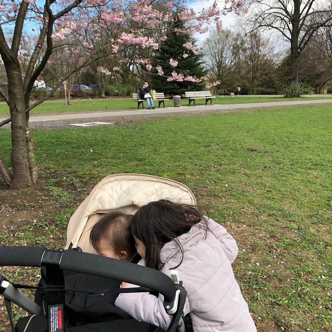 宇佐美蘭さんのインスタグラム写真 - (宇佐美蘭Instagram)「やっと晴れたー☀️😆﻿ すかさずお散歩♪みんな考えていることは同じなのか、どんどん公園に人が増えてきたよ💐﻿ 桜が咲いていました🌸﻿ #ドイツの桜#お花見気分」3月17日 20時47分 - usamiran_official