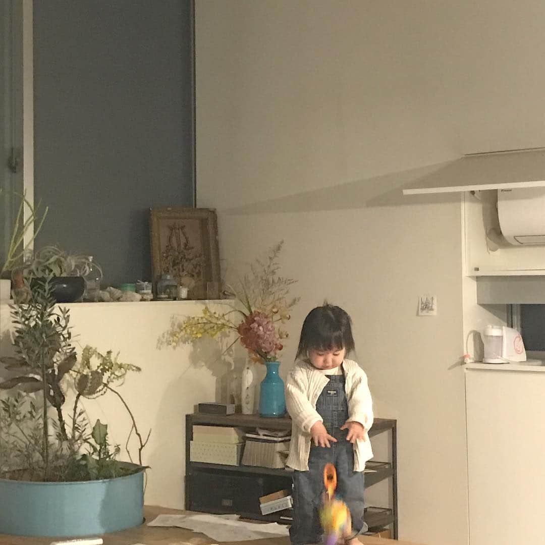 のインスタグラム：「テーブル登りたがり。だいぶ言葉を喋るようになりました。「ママーわんわん、いない。」とか、帰り道は星を探しながら「きら！」と指差ししたりキラキラ星の歌をうたいます。数え切れないほどの成長です。  #今日のきこたま #全然寝ない子 #1歳9ヶ月 #いしちゃん #おもちゃ落とす」