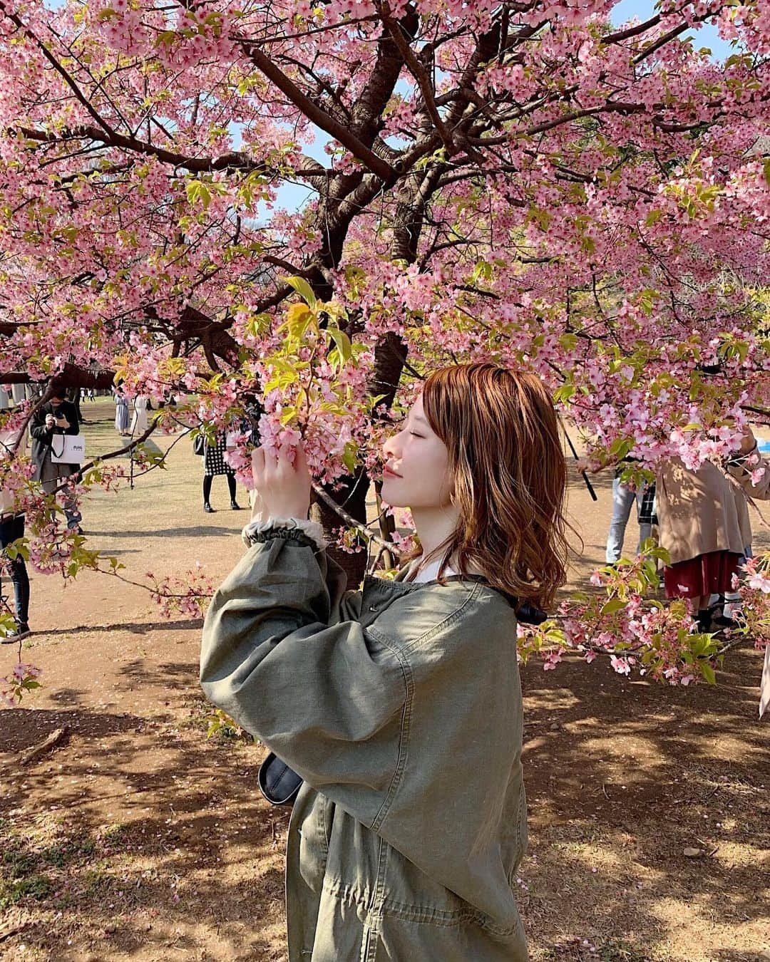 工藤はるかさんのインスタグラム写真 - (工藤はるかInstagram)「ㅤㅤㅤㅤㅤㅤㅤㅤㅤㅤㅤㅤㅤ 1本だけ桜咲いてた🌸( ◠‿◠ ) ㅤㅤㅤㅤㅤㅤㅤㅤㅤㅤㅤㅤㅤ あ〜〜花粉症は辛いけど 春がだいすき ㅤㅤㅤㅤㅤㅤㅤㅤㅤㅤㅤㅤㅤ」3月17日 20時56分 - har_326